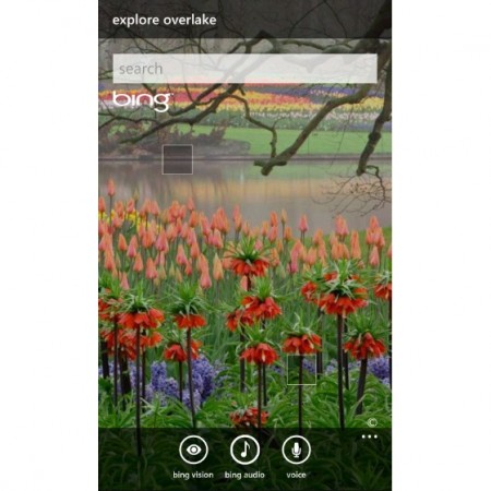 Windows Phone 7.5 - Bing
