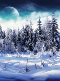 Peisaj De Iarna Cu Luna Natura Peisaje Poze Pentru Mobil